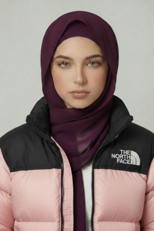 The north face jacket 🩷